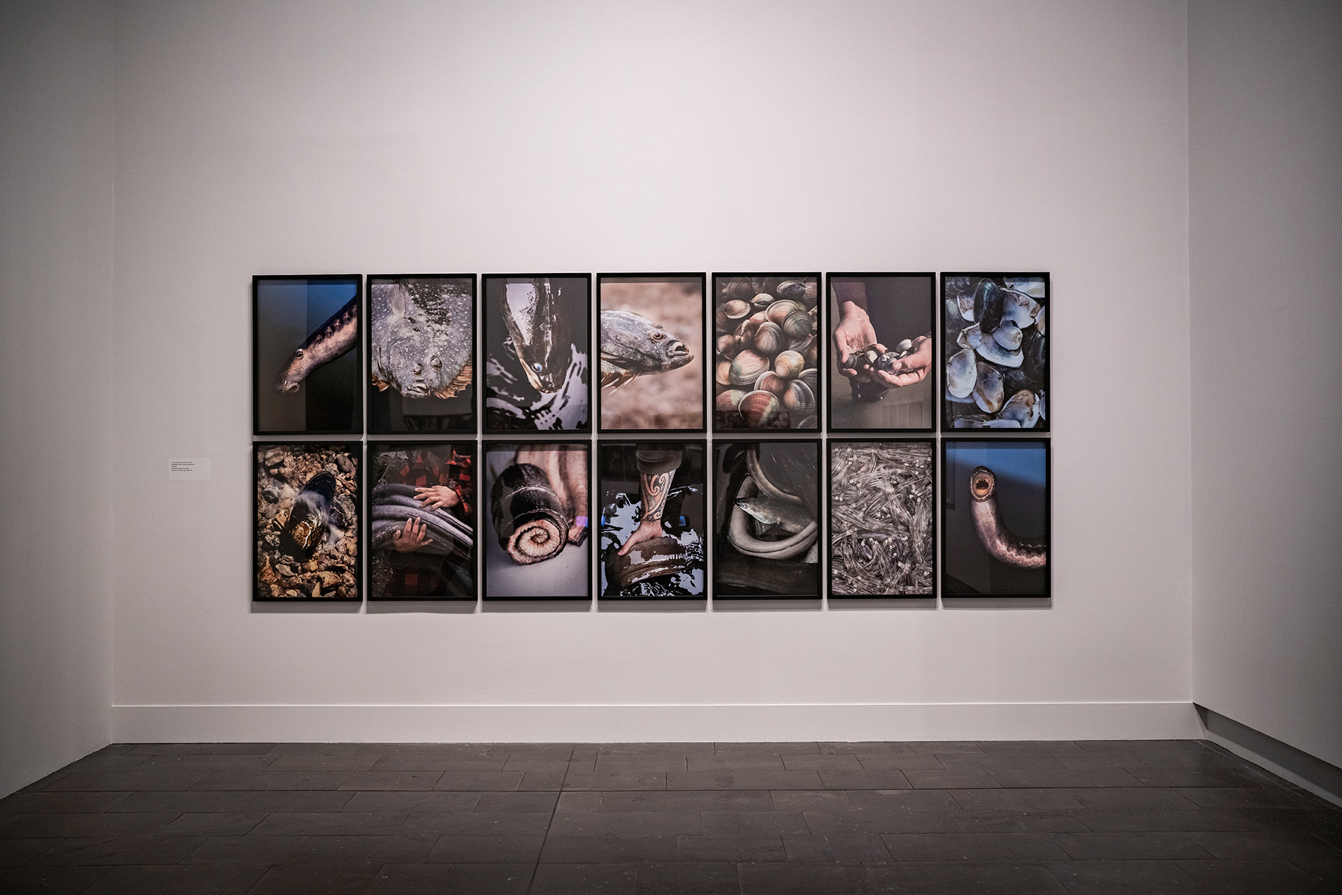 Fourteen photos on the gallery wall